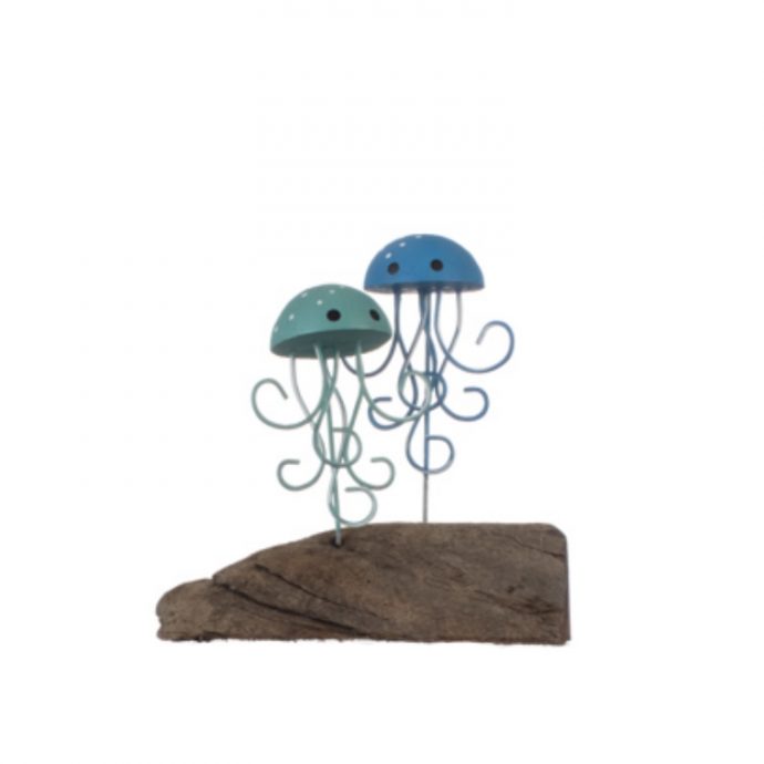 Jellyfish pair