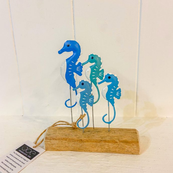 Herd of seahorses
