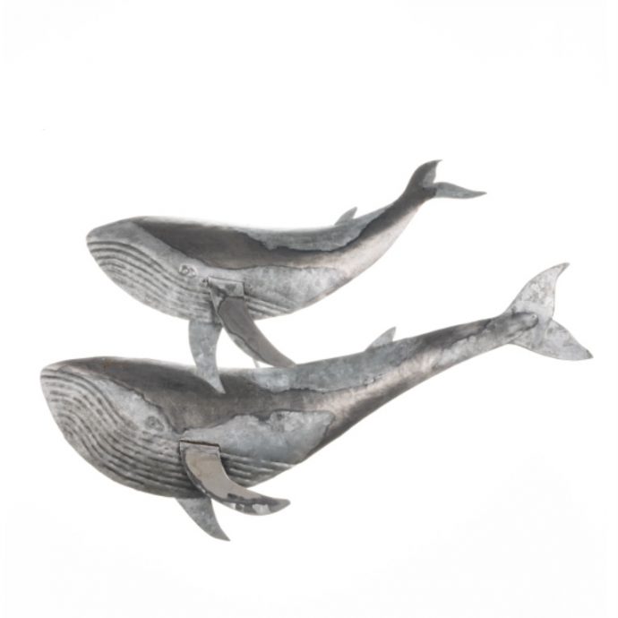 Duo of blue whales