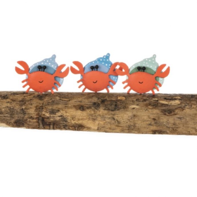 Three hermit crabs.
