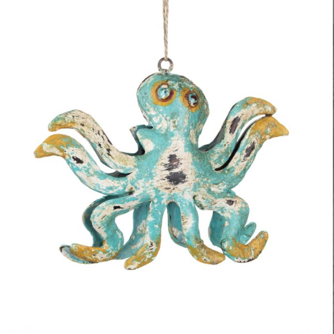 Pulpo hanging octopus