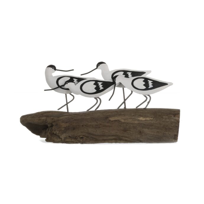 Avocets on log